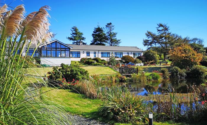 Ael y Bryn in summer; blue sky, pond and surrounding gardens; Pampas grass on the left.